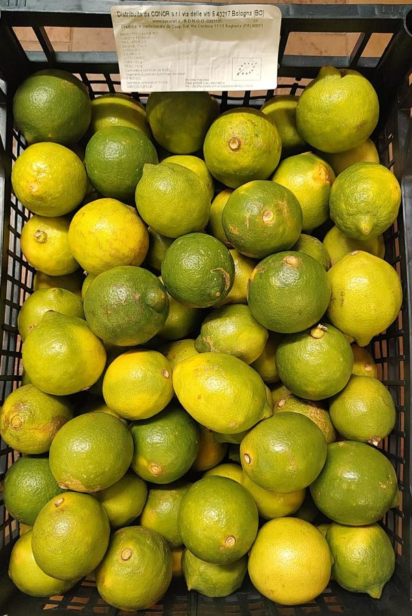 Citrusy v přepravce.