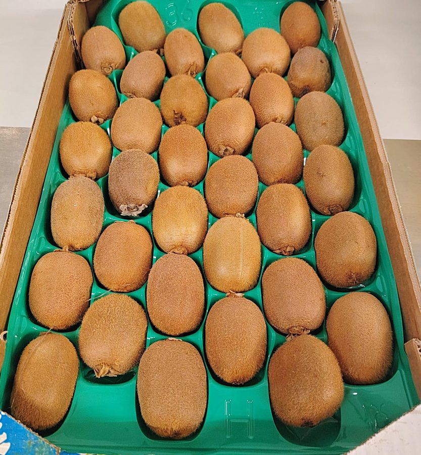 Kiwi připravené k odběru.